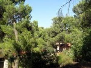 المناطق السياحيه والمطله في جرش دبين