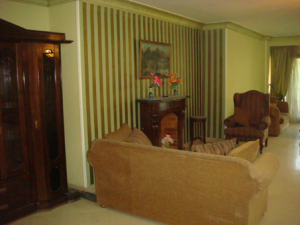 Luxurious furnished    Apartment in Degla for rent