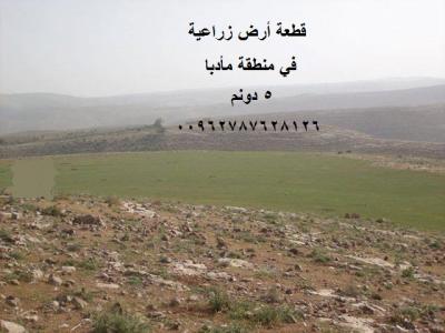 أرض زراعية للبيع