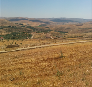 أرض زراعية مميزة للبيع في جرش