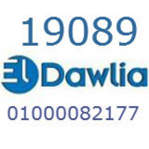 GOLDIصيانة جولدى 19089   01000081193