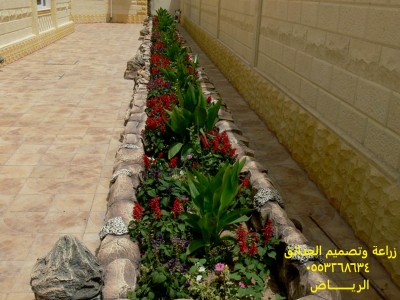 تنسيق وزراعة الحدائق - الرياض0553268634