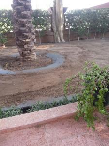 اعشاب صناعية | عشب تركي | عشب صناعي | شركة هدف | الكويت