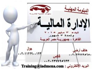 الدبلومة المهنية