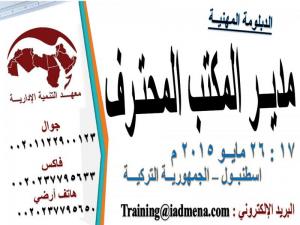 الدبلومة المهنية