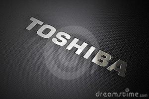 صيانة توشيبا toshiba 19089 - 01000081193