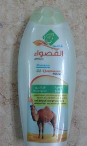 شامبو القصواء