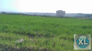 ارض للبيع تنظيم تجاري من المالك