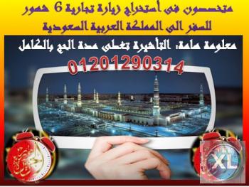 الحج لعام 2016 بأمكانك أن تحصل عليه معنا من خلال حصولك على زيارة رجال اعمال 6 شهور تغطى الحج