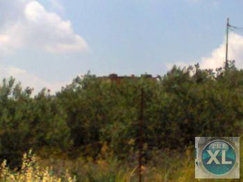 مزار ع ---مع بيوت وبدون بيوت ----من 4 دنم  5 دنم و6 دنم و7 دنم و8 دنم و9 دنم و10 دنم