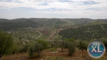 مزرعة للبيع في الاردن عجلون