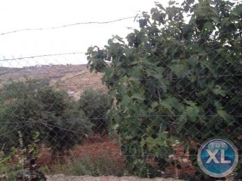 للبيع مزرعة مميزه وذات اطلاله رائعة في جرش بسعر مغري