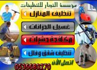 النجار لمكافحة الحشرات والتنظيف المنزلي بالمدينة 05366802