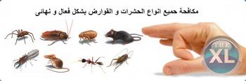 شركة مكافحة حشرات وتنظيف منزلي بالمدينة المنوره 0536680270 النجار