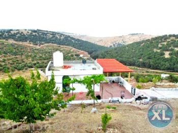 مزرعة للبيع في عجلون راس منيف من 16 دونم