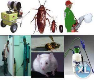 شركة مكافحة حشرات وتنظيف منزلي بالمدينة المنوره 0536680270 