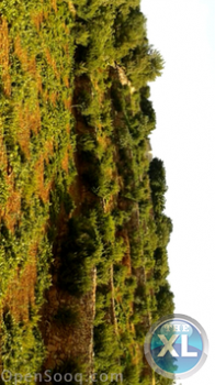 مزرعة للبيع في الاردن عجلون