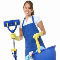 برج الجزيرة للخدمات ( تنظيفات )