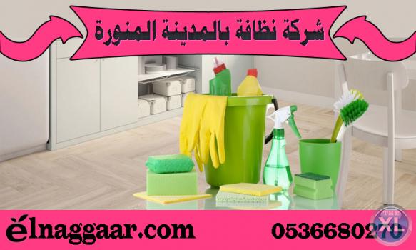 شركة مكافحة حشرات بالمدينة المنورة 0536680270 شركة النجار