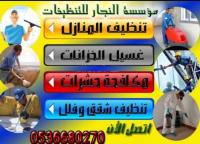شركة مكافحة حشرات بالمدينة المنورة 0536680270 شركة النجار