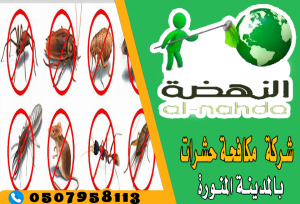 شركة مكافحة صراصير بالمدينة المنورة 0507958113 النهضة
