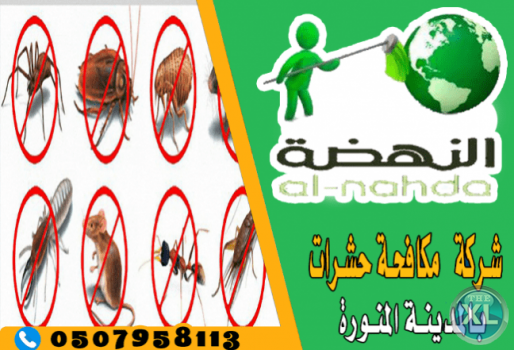 شركة مكافحة حشرات بالمدينة المنورة 0507958113 | النهضة