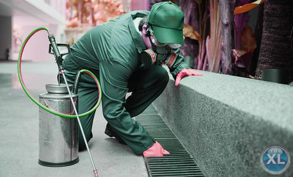 شركة انجاز المدينة لرش المبيدات بالمدينة المنورة 0553885731 | انجاز المدينة