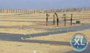 ارض فى بيت الوطن للبيع فى التجمع الخامس