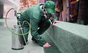 شركة انجاز المدينة لرش المبيدات بالمدينة المنورة 055388573