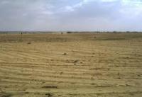 ارض للبيع فى ابوالهول فى التجمع الخامس فى1