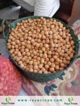 الليمون الاصفر  المجفف الشمسي SUN DRIED LEMON YELLOW