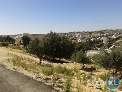 ارض في عرقوب خلدا