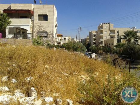 ارض في مرج الحمام