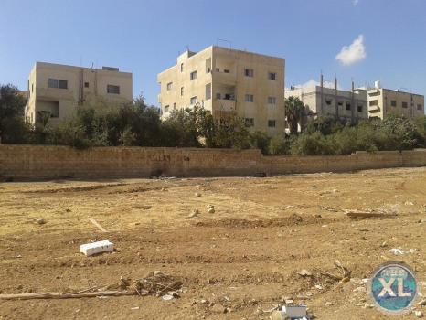 ارض للبيع في الجويدة