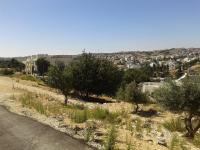 ارض في عرقوب خلدا