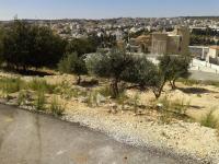 ارض في عرقوب خلدا للبيع