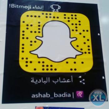 اعشاب الباديه للزيوت الطبيعيه