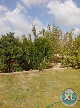 مزرعة ومعلف وفيلا للبيع او الايجار بسعر مذهل