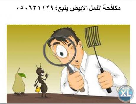 مكافحة النمل الابيض ينبع0506311294