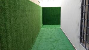 تنسيق حدائق وفلل