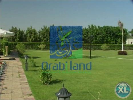 ارض بالغرود الغربية بجمعية أحمد عرابى