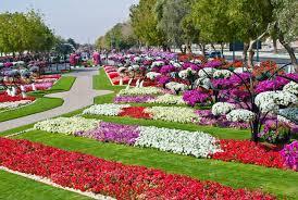 مدير مشارريع  زراعية يرغب  العمل