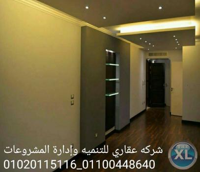شركه تشطيبات داخليه ( شركه عقاري للتنميه واداره المشروعات 01020115116)