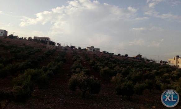 شقة للايجار في جرش