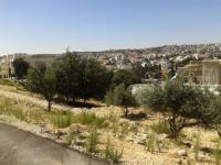 ارض للبيع في عرقوب خلدا/ منطقة فلل