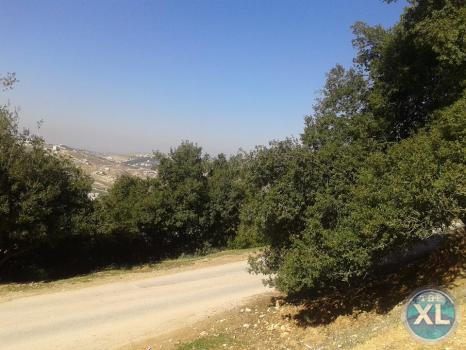 ارض للبيع في صويلح سلطاني السلط - منطقة فلل