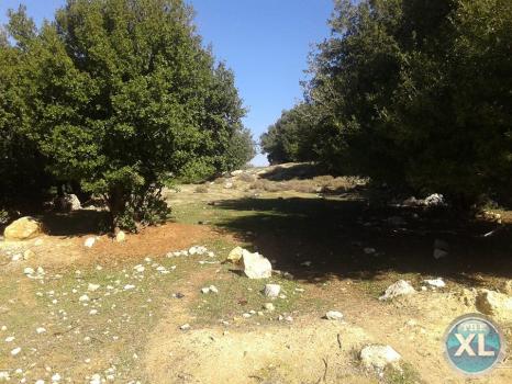 ارض للبيع في صويلح سلطاني السلط - منطقة فلل