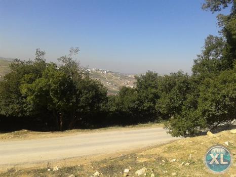 ارض للبيع في صويلح سلطاني السلط - منطقة فلل