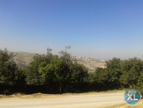 ارض للبيع في صويلح سلطاني السلط - منطقة فلل