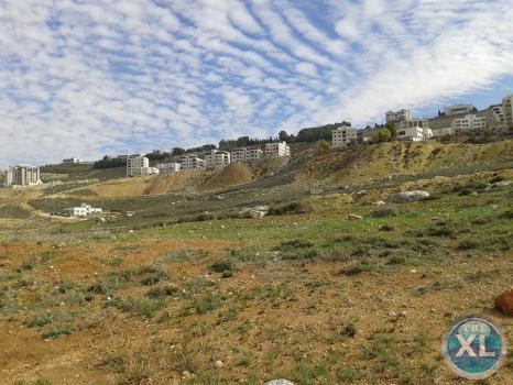 ارض للبيع في صافوط - مرج البير - المنطقة الواقعة تحت قصر الاميرة بسمة - منطقة هادئة و مطلة